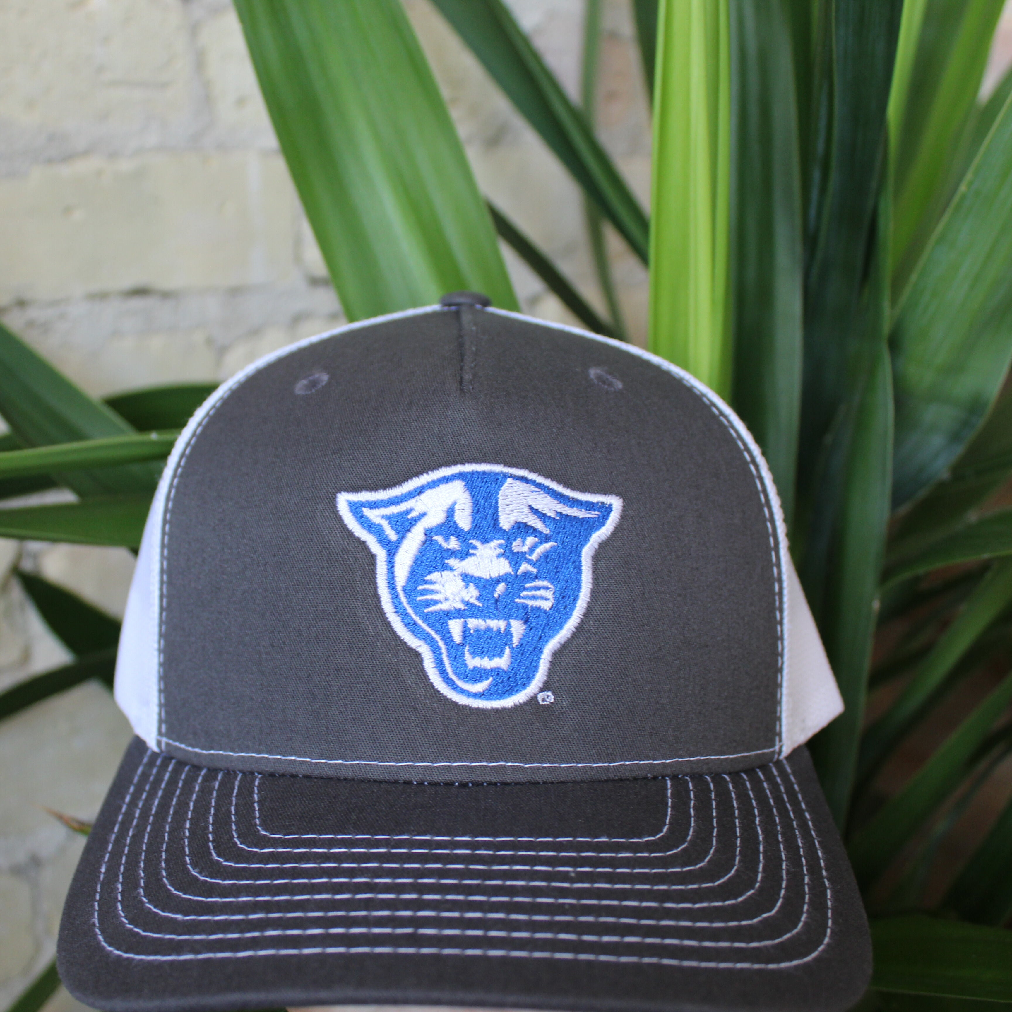 Richardson 112 Panthers patch hat