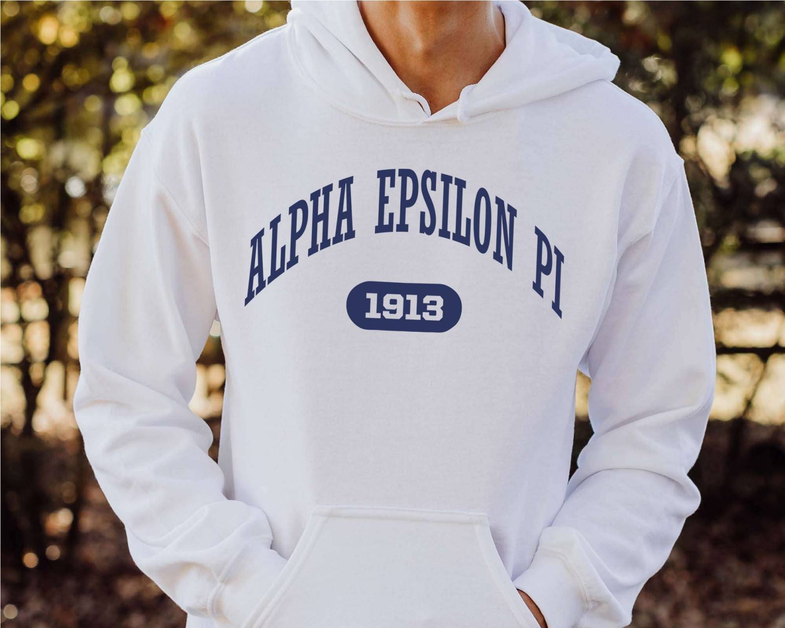 Aepi hoodie discount